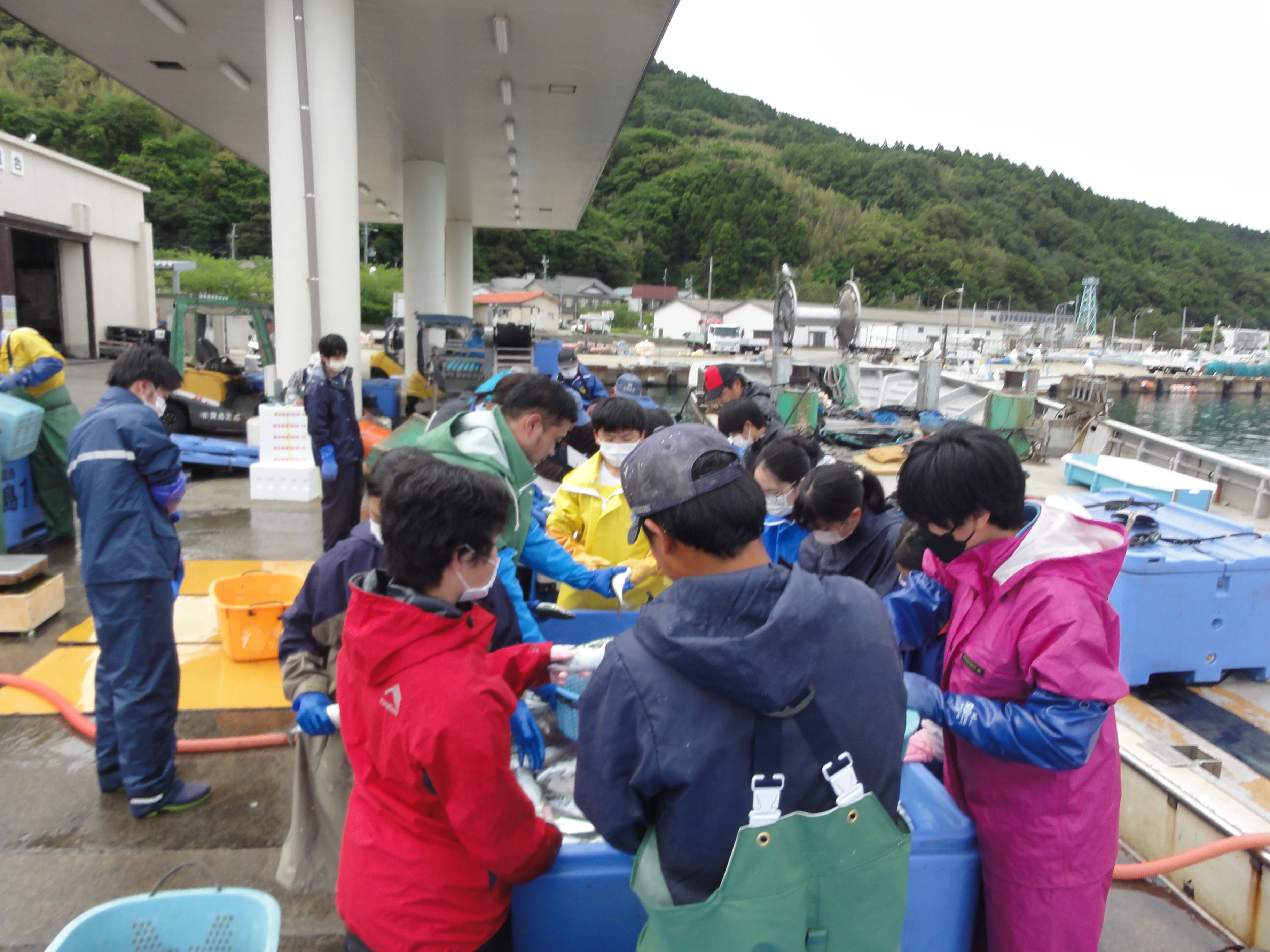 大謀網漁体験学習 | 学校生活 | 粟島浦小学校・粟島浦中学校